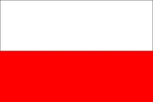 Polish words.