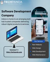 Software Development Company in Indore (1)