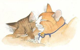 Who do you ship in Warrior cats? Who do you ship in Warrior cats?