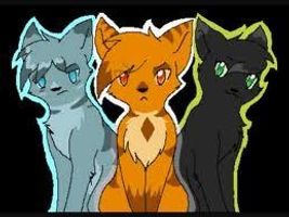 Which of the 3 are the best? Which of the 3 are the best?