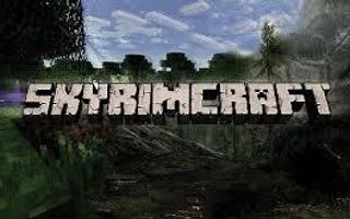 Which game do you like more: Skyrim or Minecraft? Which game do you like more: Skyrim or Minecraft?
