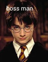 How much are you obsessed with Harry potter? How much are you obsessed with Harry potter?