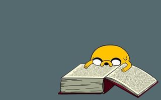Do you study during the hols? Do you study during the hols?
