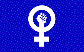 What is your opinion on feminists? What is your opinion on feminists?