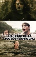 Cho vs bella Cho vs bella