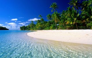 Stranded FOREVER on a deserted island, what would you prefer? Without the possibility to change afterwards Stranded FOREVER on a deserted island, what would you prefer? Without the possibility to change afterwards