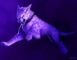 Is it a good idea to make a furry quiz? Is it a good idea to make a furry quiz?