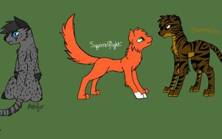 Which TomCat makes the better match for Squirrelflight? Which TomCat makes the better match for Squirrelflight?