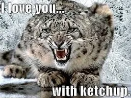 Funny? Leopard? (2) Funny? Leopard? (2)