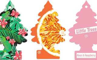Which Little Trees car freshener would Antoine like the best?