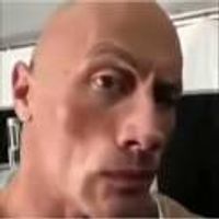 Do You Like The Rock? Do You Like The Rock?