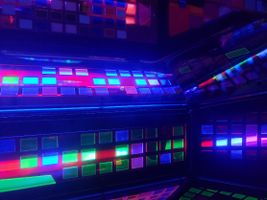 Light colors, dark colors, or neon colors? Light colors, dark colors, or neon colors?