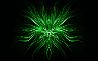 which colour: black or green? which colour: black or green?