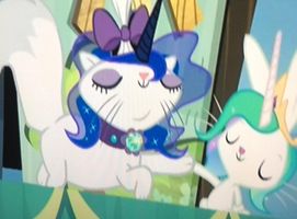 Which pet Princess is cuter?!?! Which pet Princess is cuter?!?!
