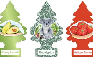 Which Little Trees car air freshener of late 2016 is the best? (complete version) Which Little Trees car air freshener of late 2016 is the best? (complete version)