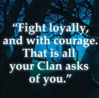 Which Warrior Cats Leader is The Best? Which Warrior Cats Leader is The Best?