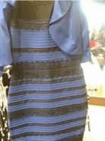 What Colors Do You See? What Colors Do You See?