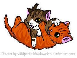 Leafpool or Squirrelflight? Leafpool or Squirrelflight?