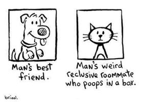 Are Cats even worse than dogs Are Cats even worse than dogs