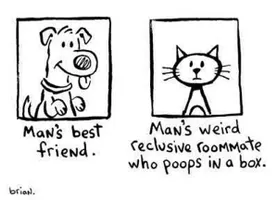 Are Cats even worse than dogs