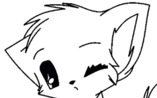 doy ou like kittens? doy ou like kittens?