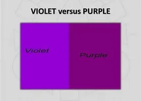Do you say "purple" or "violet"? Do you say "purple" or "violet"?