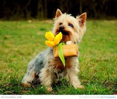 Do you like summer? Do you like summer?