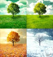 Favorite Season?