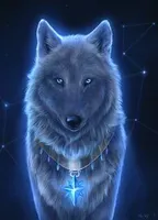 Wolves are... (1) Wolves are... (1)