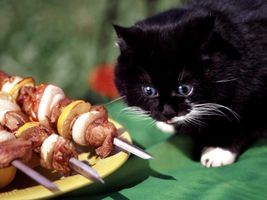What is your warrior cat's favorite food? What is your warrior cat's favorite food?