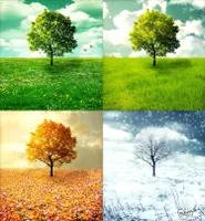 which season was better? which season was better?