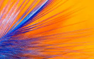 which colour: orange or blue? which colour: orange or blue?