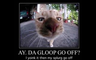 ay da gloop go off? ay da gloop go off?