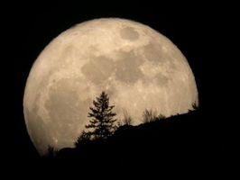 Earth or the moon Earth or the moon