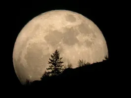 Earth or the moon Earth or the moon