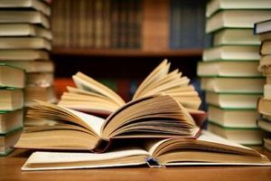 Which Book(s) Should I Finish? Which Book(s) Should I Finish?