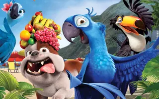 Did you enjoy the movie Rio? Did you enjoy the movie Rio?