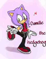 What Should Camille The Hedgehog's Theme Song Should Be? What Should Camille The Hedgehog's Theme Song Should Be?