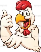 What Do YOU Think About Chickens? What Do YOU Think About Chickens?