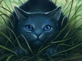 In Blustars eyes which was most sad? In Blustars eyes which was most sad?