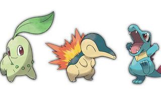 Which Second Generation Starter Pokemon? Which Second Generation Starter Pokemon?