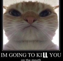 if this was dongusrongus which of us would murder somebody first if this was dongusrongus which of us would murder somebody first