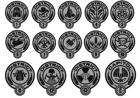 Where Are You From In Panem? Where Are You From In Panem?