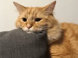 Are you bored rn? Are you bored rn?