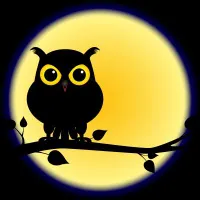 Are you a night owl? Are you a night owl?