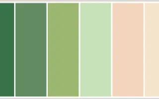 Do you like Peach or Green Do you like Peach or Green