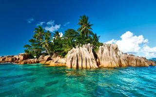 Stranded FOREVER on a deserted island, what would you prefer? Stranded FOREVER on a deserted island, what would you prefer?