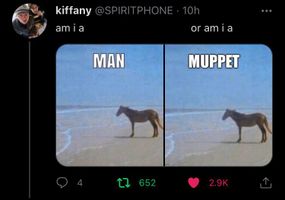kid rowlf picture kid rowlf picture