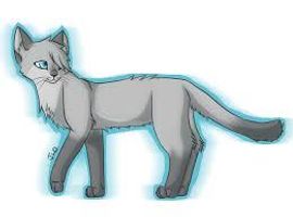 Who is a better match for Dovewing? Who is a better match for Dovewing?