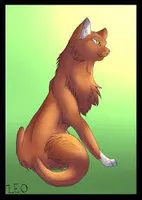What do you think of Squirrelflight? What do you think of Squirrelflight?